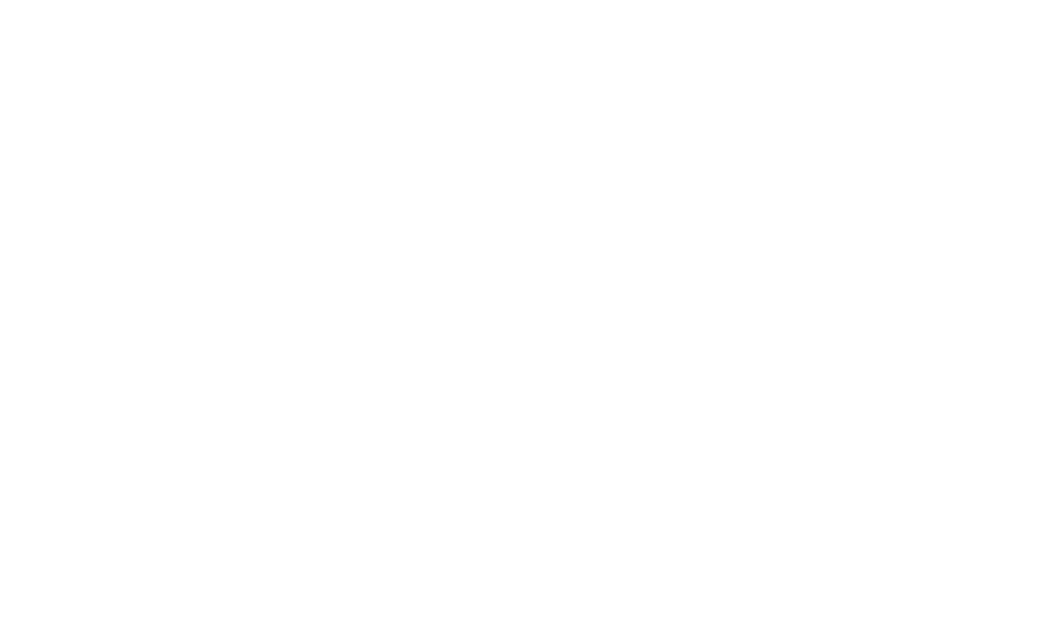Logo ANDESSA