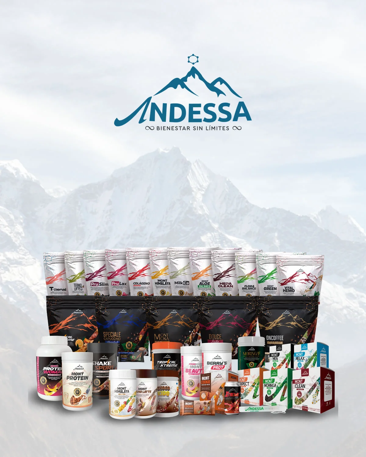 Productos destacados ANDESSA